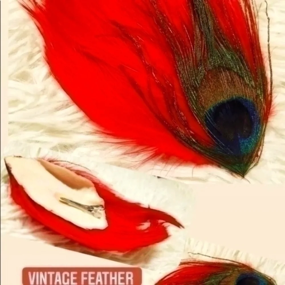 Vintage Regal Feathers Hair Clip